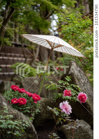 鎌倉泉 鶴岡八幡宮 14鈕 101534790