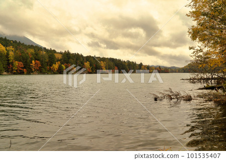 Onneto scenery of autumn leaves Onneto scenery of autumn leaves 101535407
