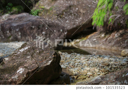 Chiiwa Gorge in Spring, Shinshiro City, Aichi Prefecture 101535523