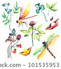 Flowers. Watercolor floral set with spring flowers and dragonflies 101535953