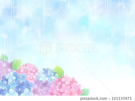 雨季雨和繡球花的框架圖 101535971