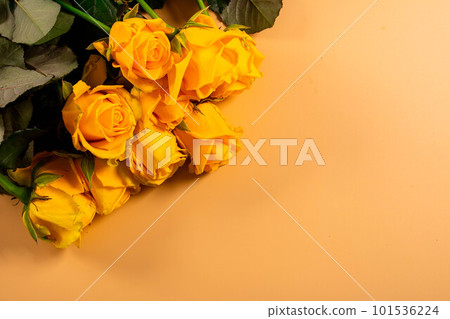 Beautiful yellow roses. Beautiful yellow roses. 101536224