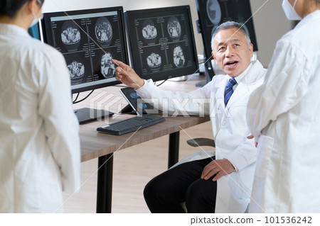 A doctor interpreting X-ray data displayed on a monitor A doctor interpreting X-ray data displayed on a monitor 101536242