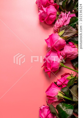 Beautiful roses. Beautiful roses. 101536324