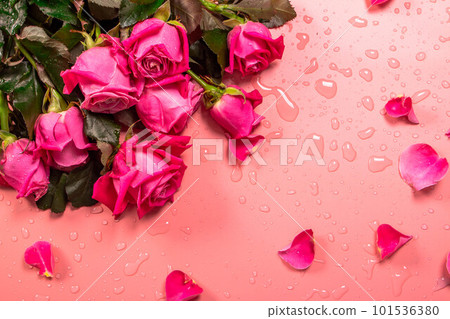 Beautiful roses. 101536380