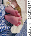 Fresh baby's feet 101536877