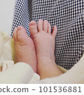 Baby's foot 101536881