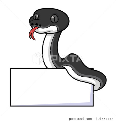 Cute albertisi snake cartoon with blank sign Cute albertisi snake cartoon with blank sign 101537452