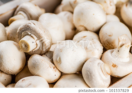 Fresh aromatic mushrooms. Macro background. Fresh aromatic mushrooms. Macro background. 101537829