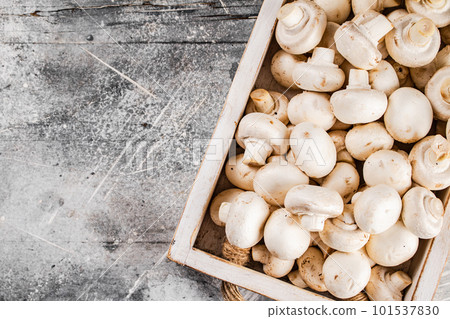 Fresh mushrooms on the tray. Fresh mushrooms on the tray. 101537830