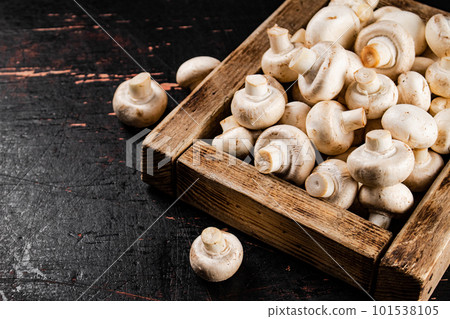 Mushrooms on a wooden tray. 101538105