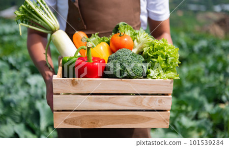 Farmer man holding wooden box full of fresh raw vegetables. Basket with fresh organic vegetable  and peppers in the hands.. 101539284