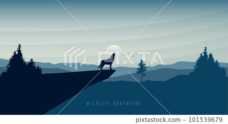 wolf howls to the full moon in forest on mountain landscape 101539679