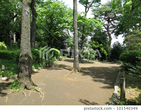 Setagaya Castle Park (Ruins of Kaku) Setagaya Castle Park (Ruins of Kaku) 101540349