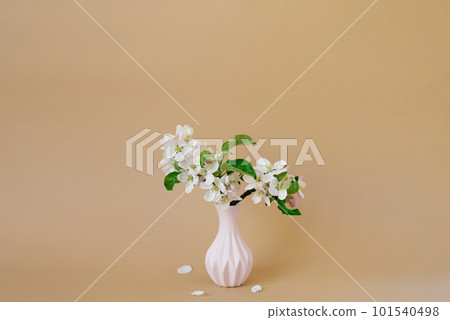Spring flowers in a pink vase on a beige background with copy space 101540498
