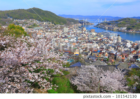 [廣島縣]從櫻花盛開的千光寺看到的尾道街景 101542130