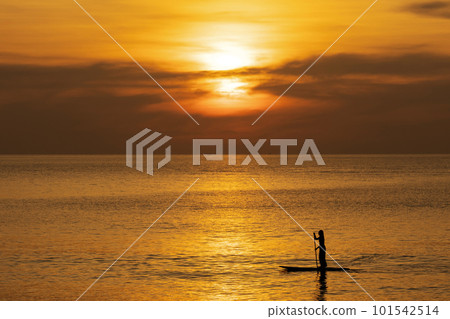woman on Paddle board in the Ocean on Beautiful at sunset 101542514