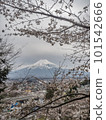 Sakura and Mt. Fuji 101542666
