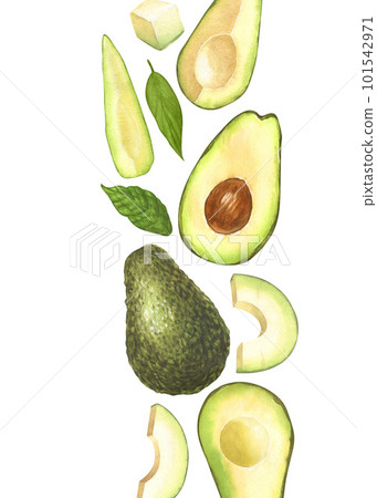 Watercolor frame, ripe avocado and halves avocado. Hand-drawn illustration isolated on white background. Perfect concept food menu, food drawing, design packing, healthy eating 101542971