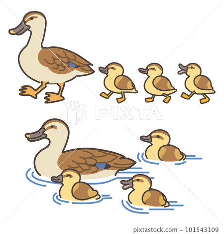Illustration set of spot-billed duck parent and child Illustration set of spot-billed duck parent and child 101543109