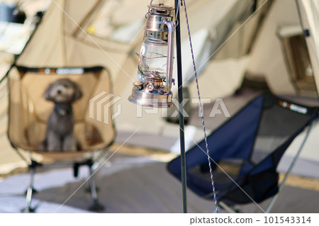 帶玩具貴賓犬的女子營地 蔚藍大海和美麗海灘上悠閒的海島營地 享受營地美食的女士 101543314