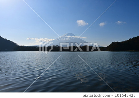 Sacred Mt. Fuji seen from Lake Shoji in Yamanashi Prefecture in the morning of March 101543425
