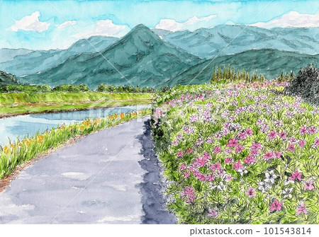 Spring promenade with blooming azaleas Spring promenade with blooming azaleas 101543814