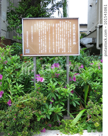 世田谷區若林的北原白州住宅遺址 世田谷區若林的北原白州住宅遺址 101543861