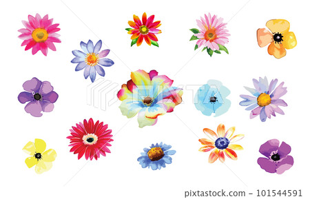 Colorful daisy flowers collection isolated on white background, simple floral vector elements for collage, birthday cards, invitations Colorful daisy flowers collection isolated on white background, simple floral vector elements for collage, birthday cards, invitations 101544591