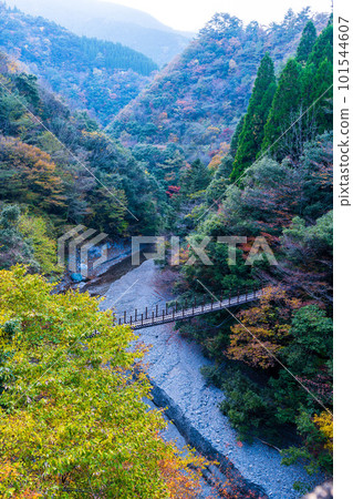 從綾取橋紅葉吊橋/五賀之所看到的杜鵑花橋和群山（熊本縣八代市和泉町） 101544607