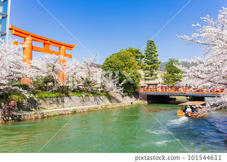 京都春天的治國船遊覽岡崎運河和平安神宮的大鳥居 101544611