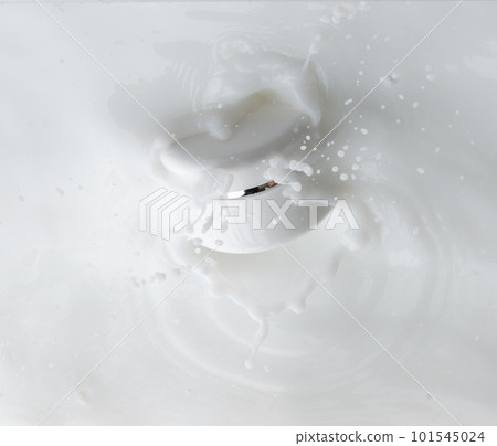 Cosmetic container white lotion droplet fly splashing. Milk lotion pour float to cosmetic bottle. Moisturizer lotion explosion spill. White background isolated high speed shutter freeze top view 101545024