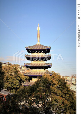 中山寺第五 中山寺第五 101545071