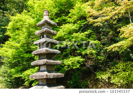 京都府大山崎町寶積寺九層石塔（有形文化財產）聖武天皇紀念塔 101545337