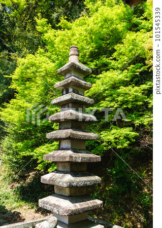 京都府大山崎町寶積寺九層石塔（有形文化財產）聖武天皇紀念塔 101545339