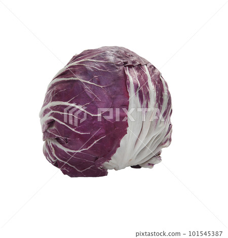 Red radicchio Red radicchio 101545387