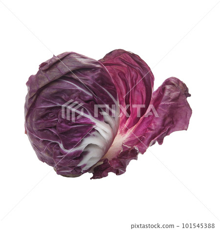 Red radicchio Red radicchio 101545388