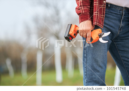 Close up of gardener walking with pruner in hand. Male wearing blue jeans, working in orchard, taking care of plants in spring, whitewashing, cutting. Concept of handwork. 101545748