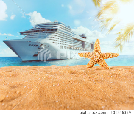 Background of isolated starfish on the golden beach 101546339