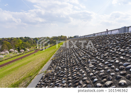 Sayama Park in spring seen from the lower dam of Lake Tama Sayama Park in spring seen from the lower dam of Lake Tama 101546362