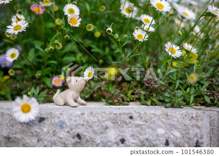 White cute flower and unglazed pottery dog figurine White cute flower and unglazed pottery dog figurine 101546380