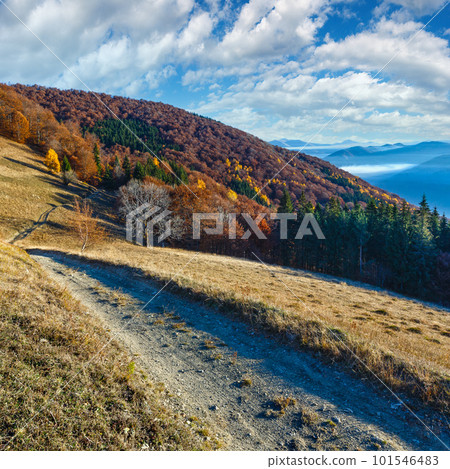 Rural road on autumn  mountain slope. 101546483