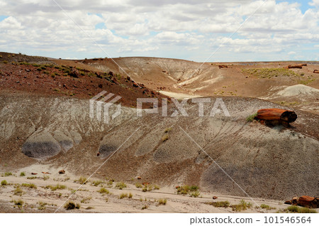 Rugged Landscape Petrified Forest Arizona 101546564