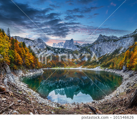 Tree stumps after deforestation near Hinterer Gosausee lake, Upper Austria. Autumn Alps mountain lake with clear transparent water and reflections. Dachstein summit and glacier in far. Tree stumps after deforestation near Hinterer Gosausee lake, Upper Austria. Autumn Alps mountain lake with clear transparent water and reflections. Dachstein summit and glacier in far. 101546626