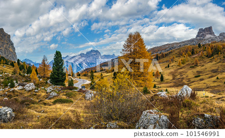 Overcast morning autumn alpine Dolomites mountain scene. Peaceful view near Valparola and Falzarego Path, Belluno, Italy. Overcast morning autumn alpine Dolomites mountain scene. Peaceful view near Valparola and Falzarego Path, Belluno, Italy. 101546991