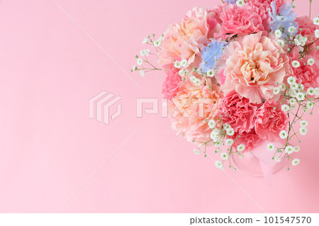 粉色康乃馨花束 101547570