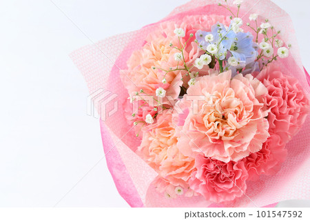 Pink carnation bouquet Pink carnation bouquet 101547592