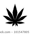 Cannabis leaf illustration realism isolate silhouette. Healing herb for relaxation. 101547805