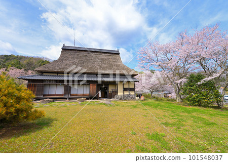 舊長島住宅春天（京都府宮津市） 101548037