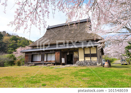 舊長島住宅春天（京都府宮津市） 101548039